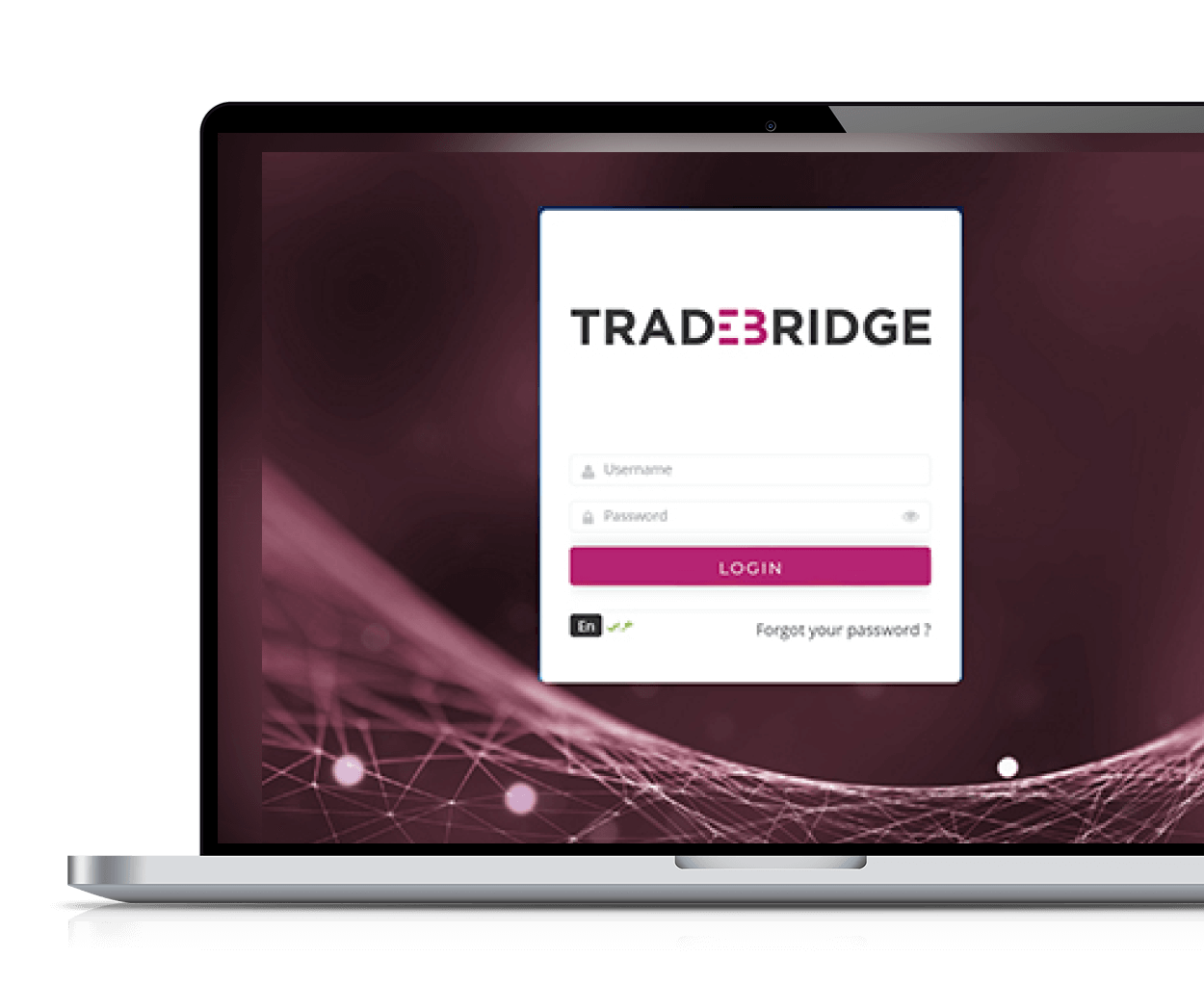 tradebridge-view